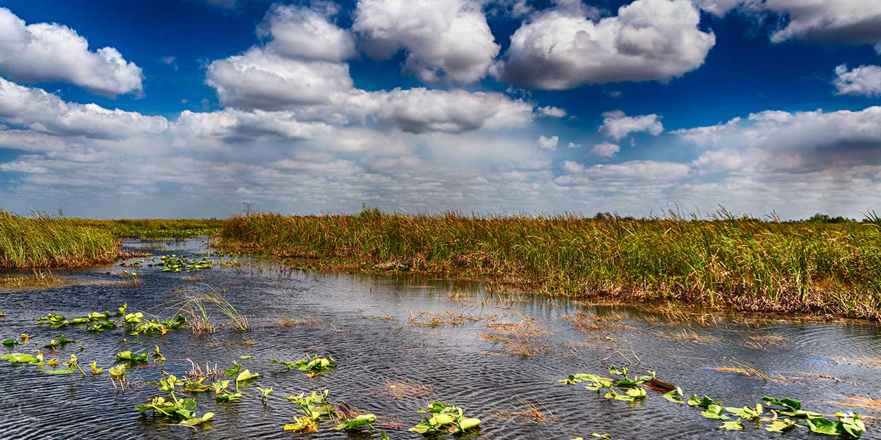 Everglades National Park landscape