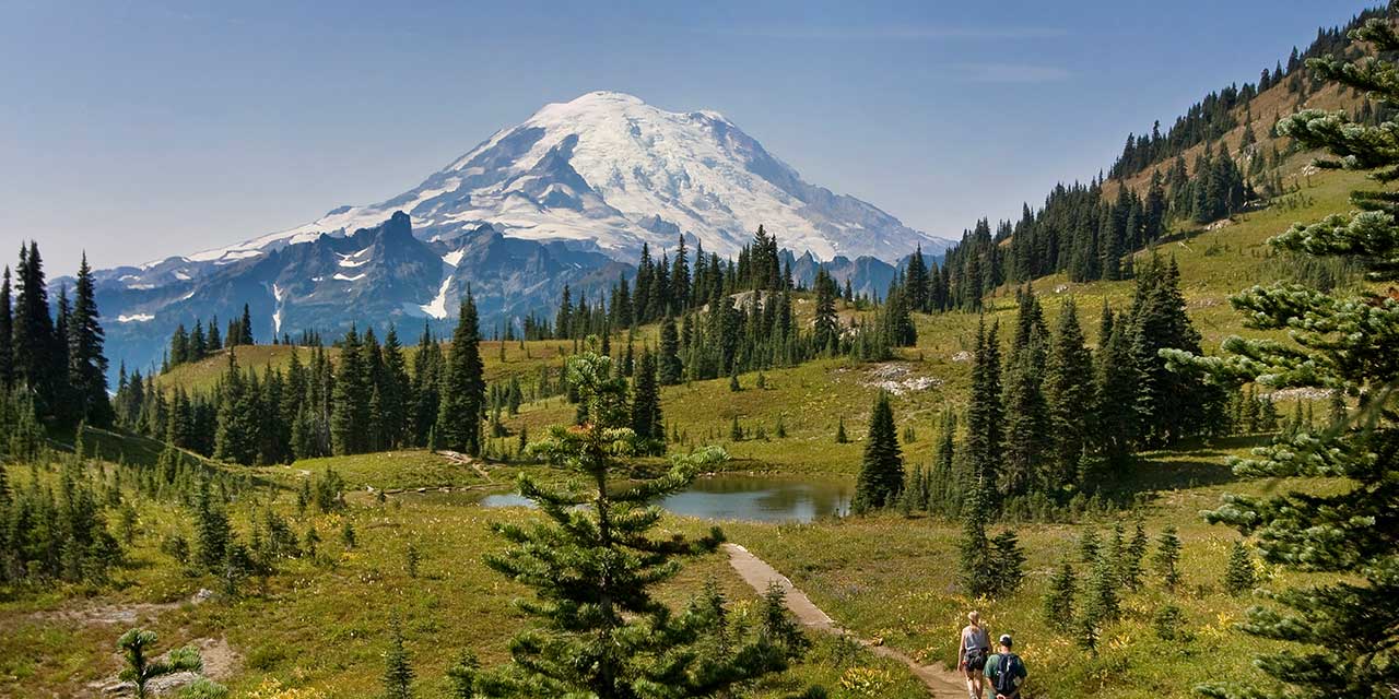 Mount Rainier National Park landscape